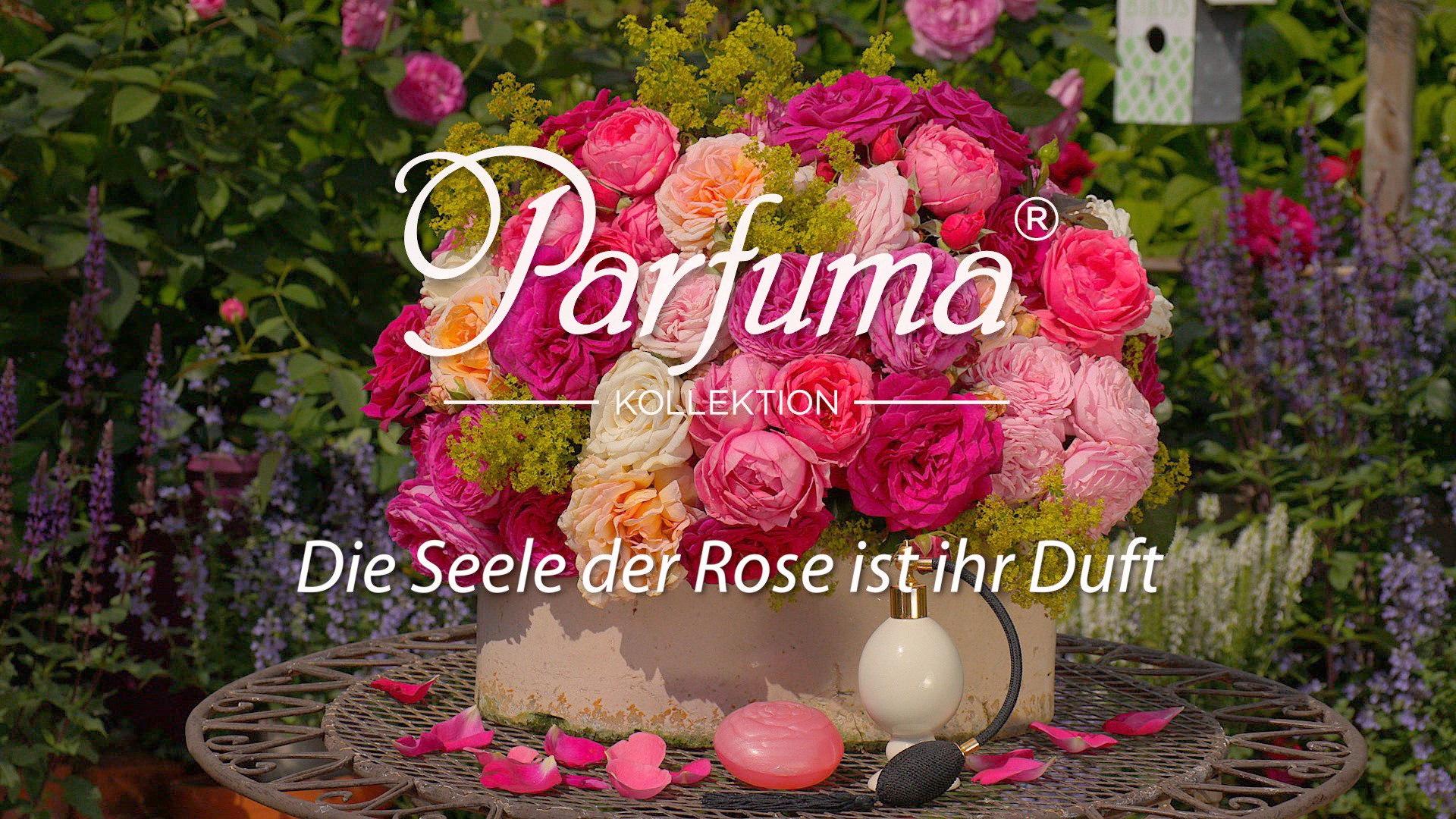 Parfuma-Kollektion