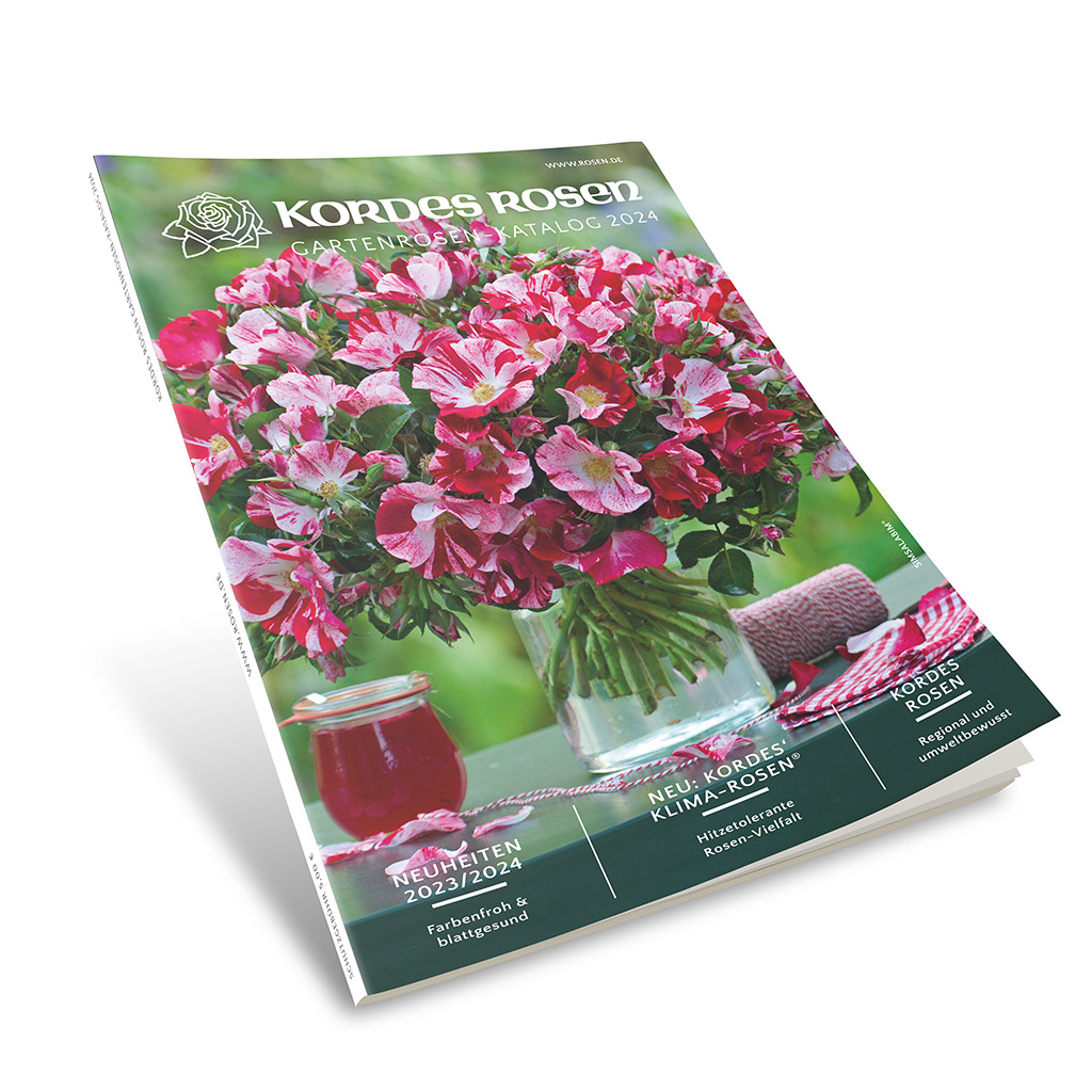 Kordes garden rose catalogue Kordes Rosen
