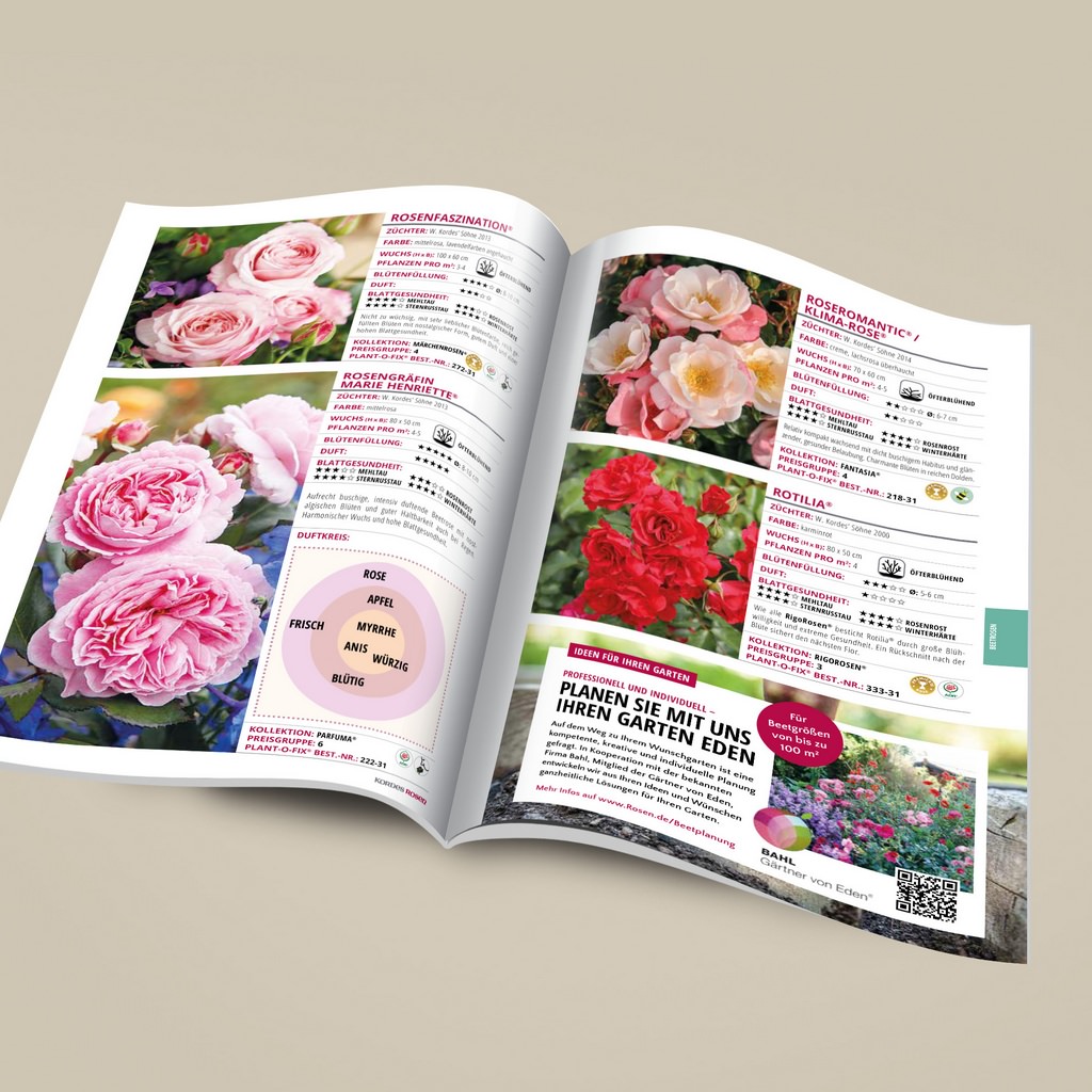Kordes catalogue rosiers jardin Kordes Rosen