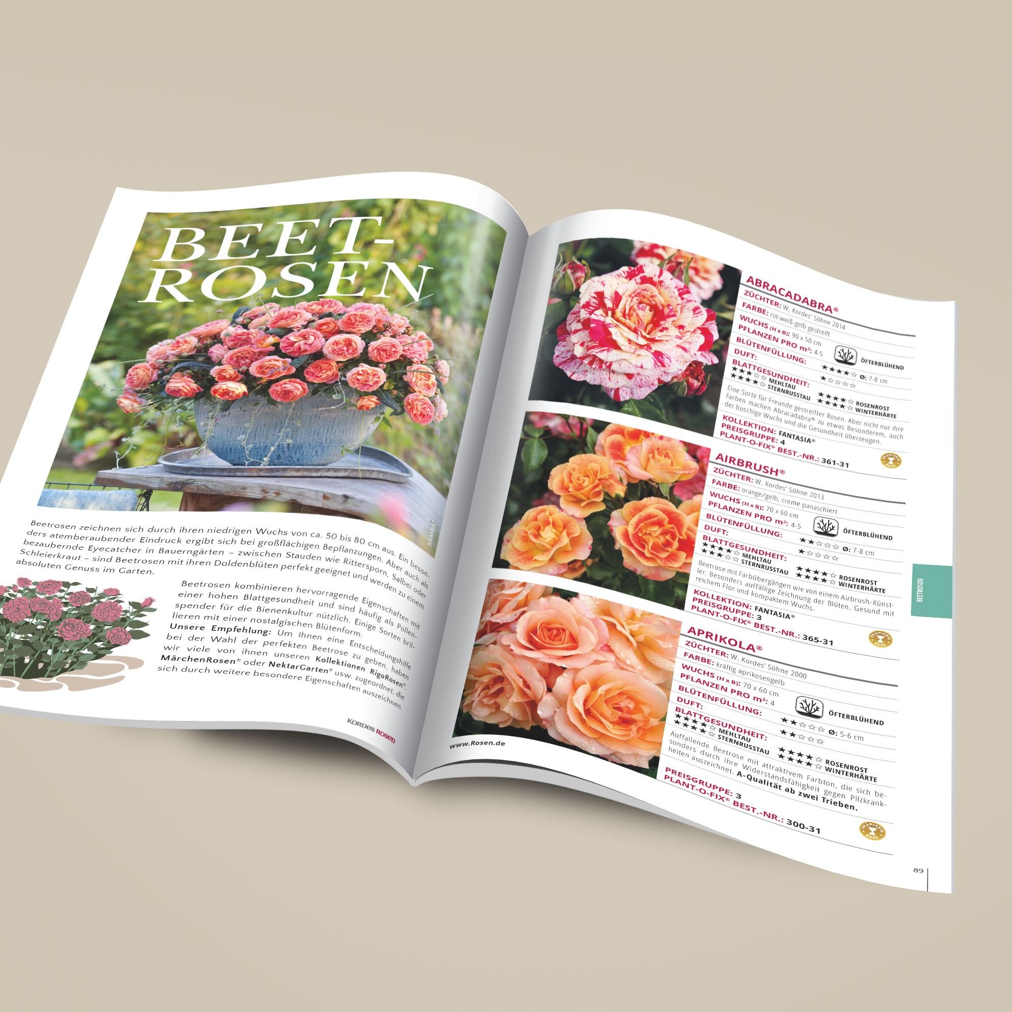 Artikelbild 5 des Artikels Kordes Gartenrosen-Katalog Kordes Gartenrosen-Katalog