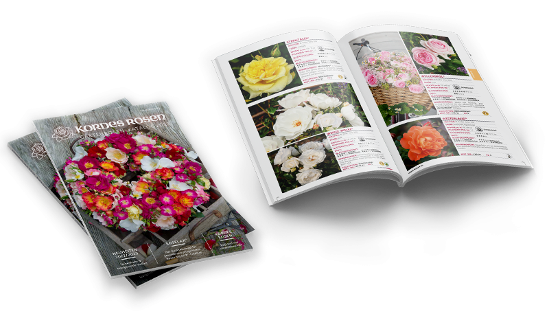 PDFDownload Ihre Bestellung Service Kordes Rosen