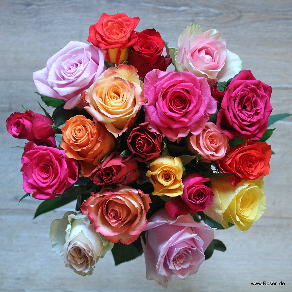 Schnittrosen - Tutti Frutti Mix
