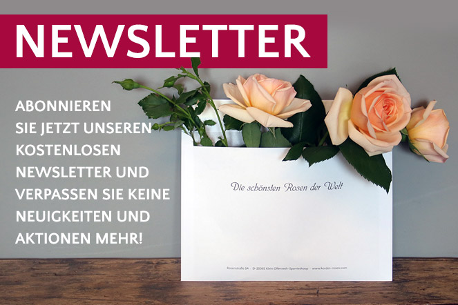 Jetzt zum Newsletter anmelden!