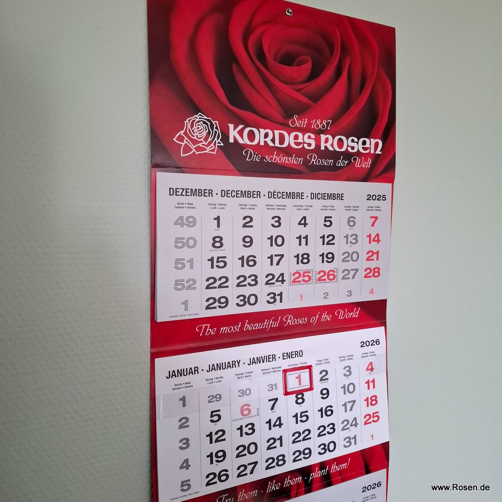 Artikelbild 1 des Artikels 4-Monatskalender "Kordes" 2026 4-Monatskalender "Kordes" 2026
