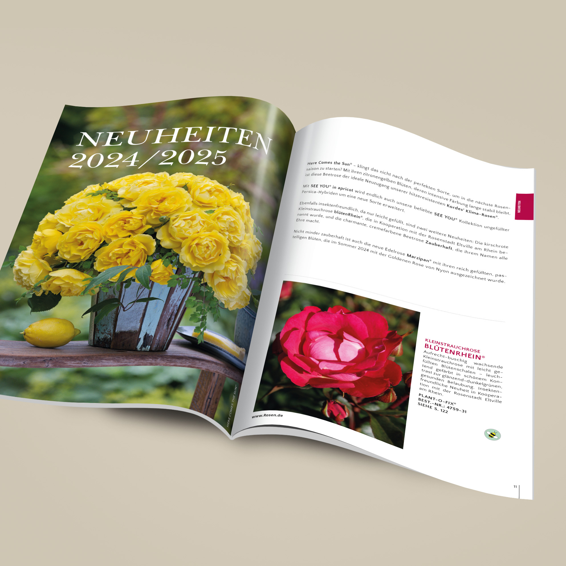 Kordes garden rose catalogue Kordes Rosen