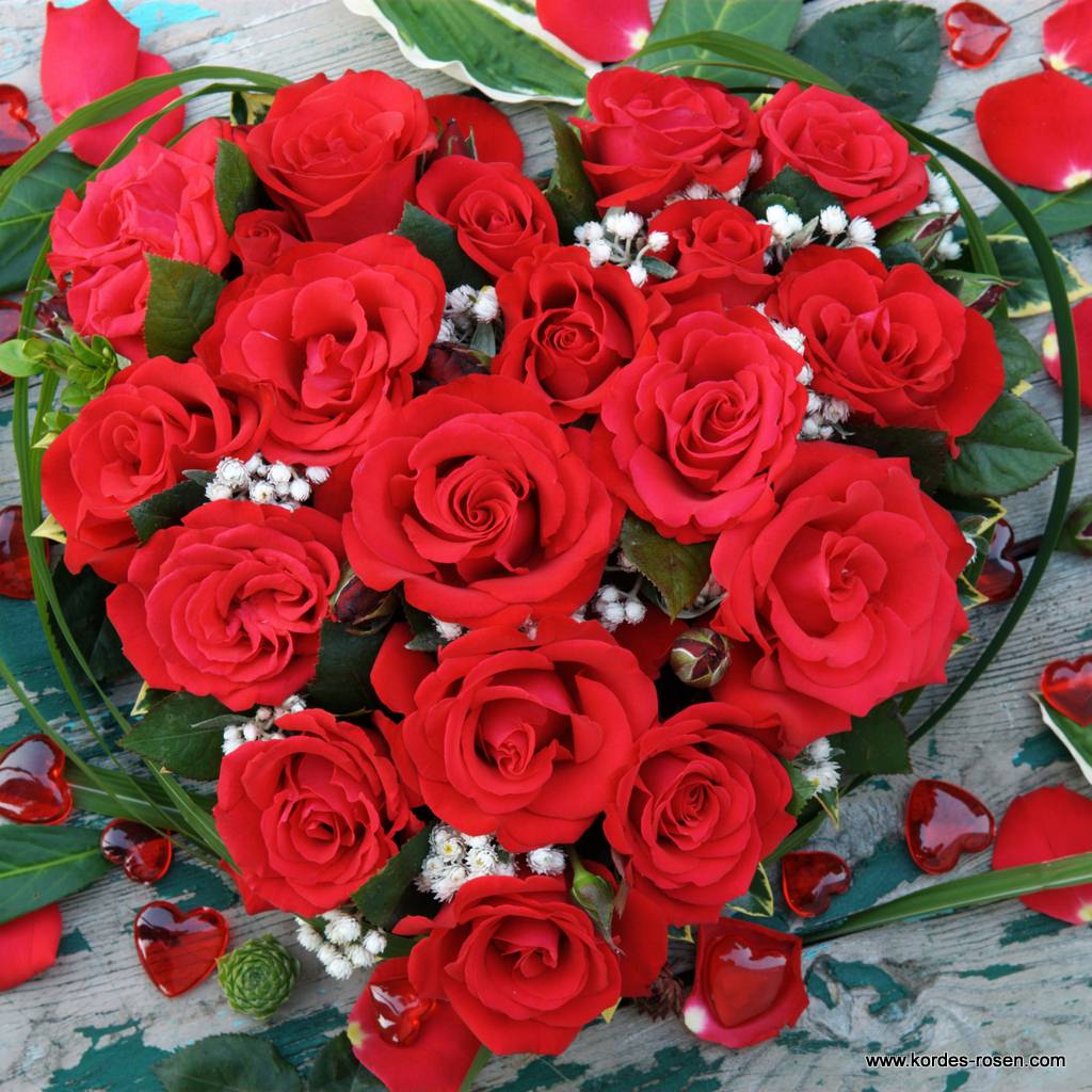 Artikelbild 4 des Artikels Grande Amore®