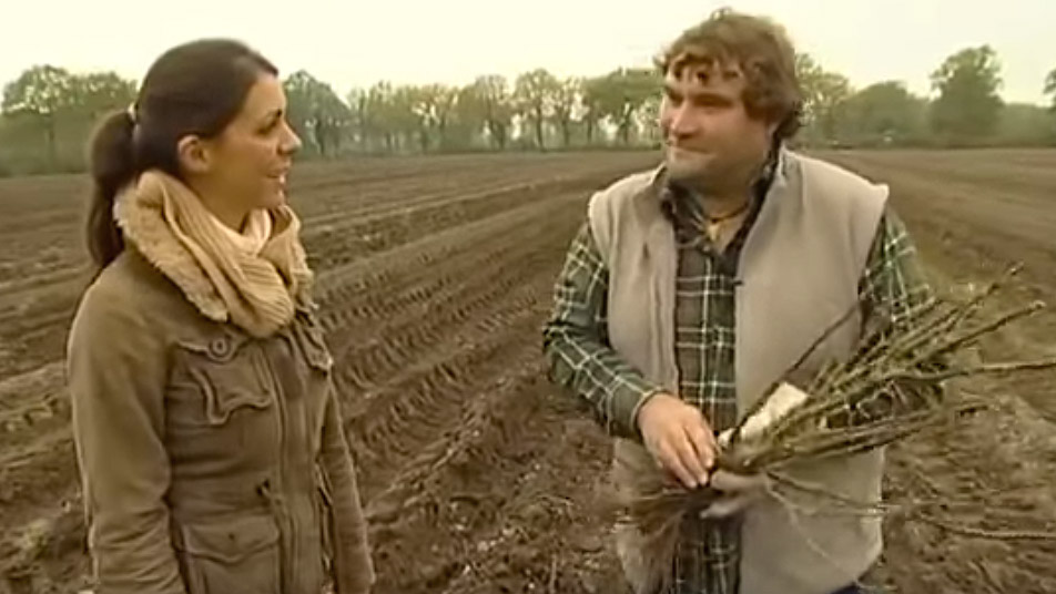 Herbstpflanzung-Winterpflege