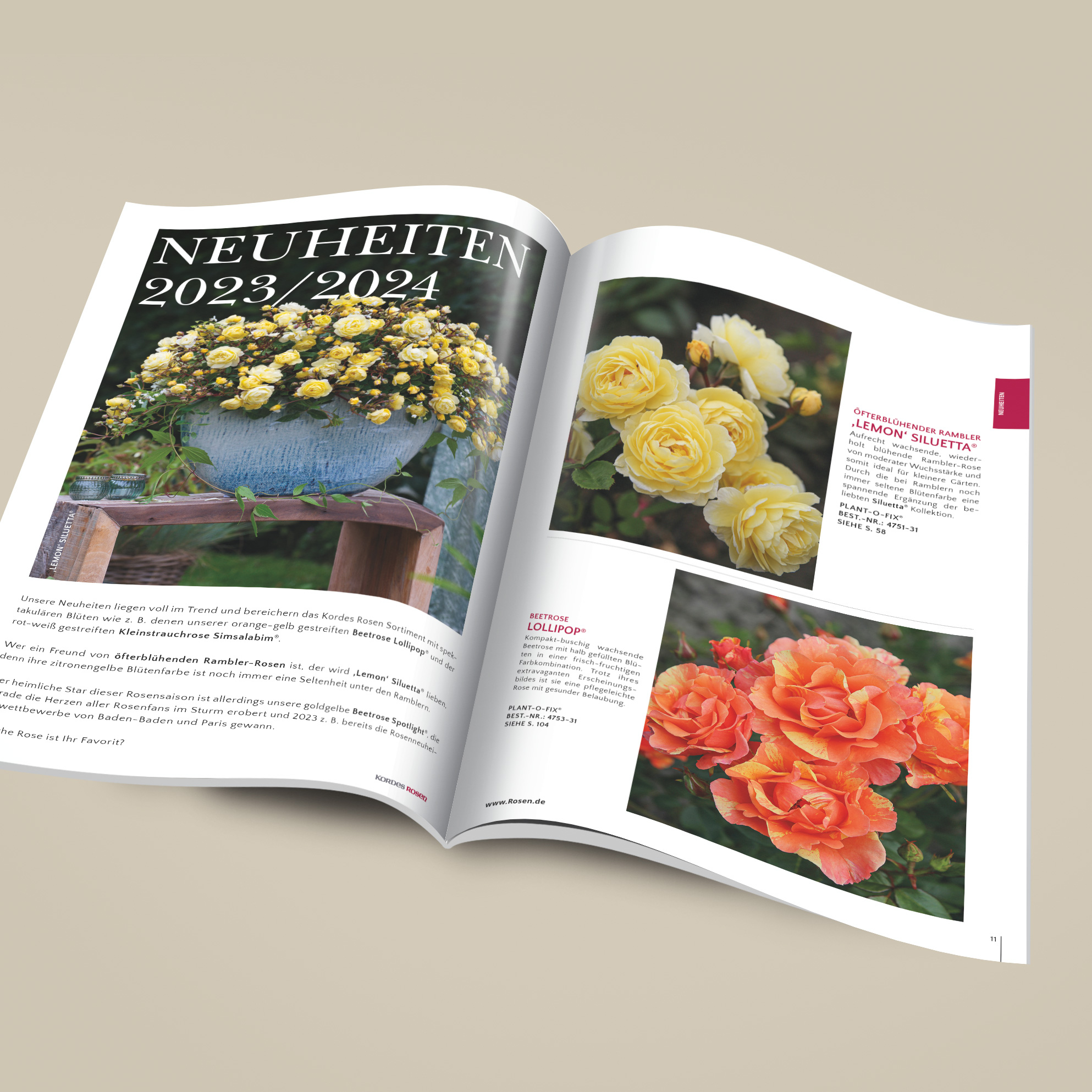 Kordes garden rose catalogue Kordes Rosen