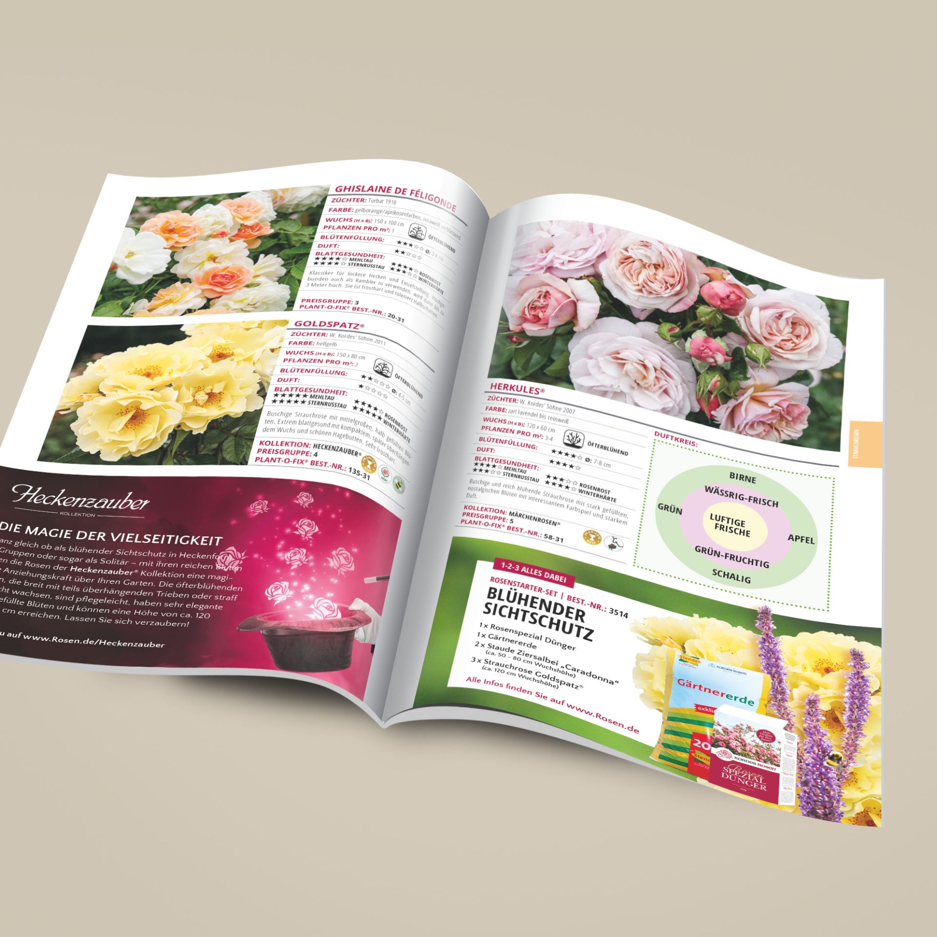 Kordes GartenrosenKatalog Kordes Rosen