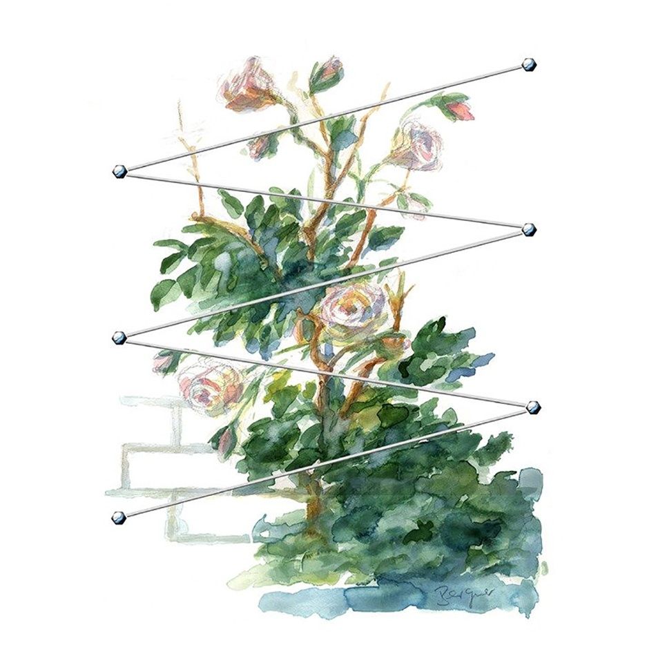 Kletter / Rankhilfe Kordes Rosen