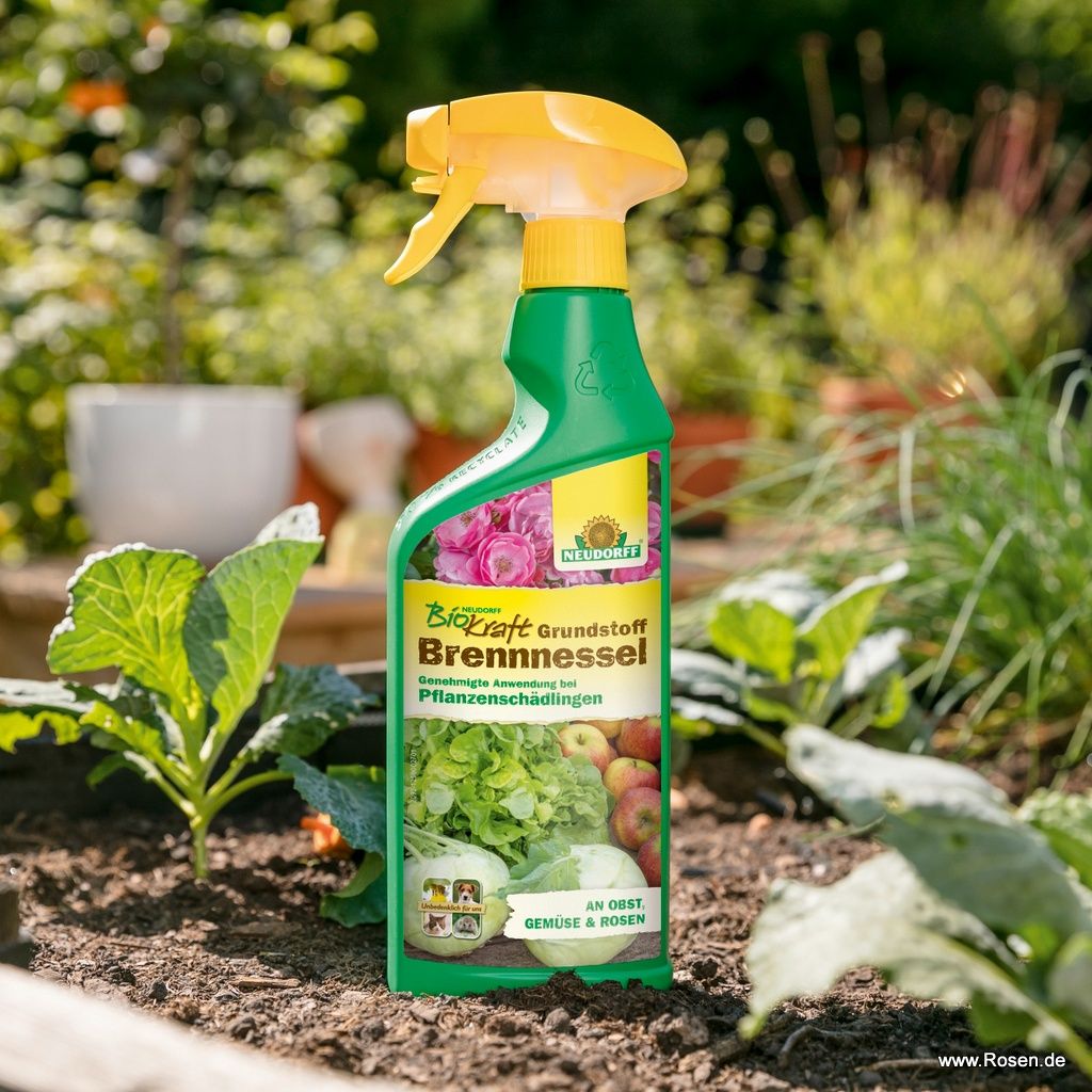 BioKraft Grundstoff Brennnessel Kordes Rosen