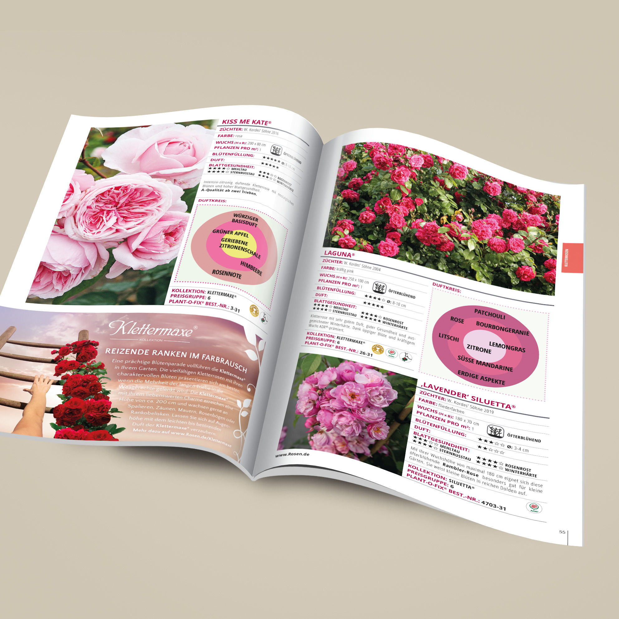 Artikelbild 3 des Artikels Kordes Gartenrosen-Katalog