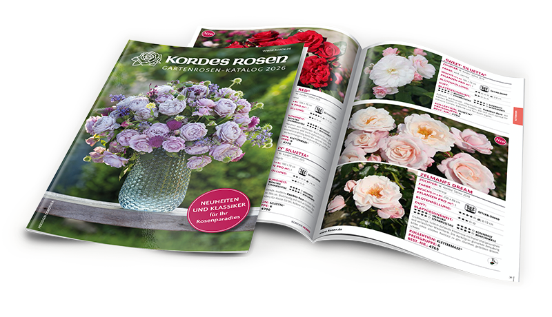 PDF-Download_Katalog_2026