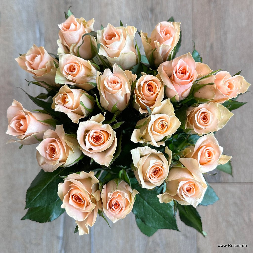 Artikelbild 1 des Artikels Schnittrosen - Chantelle® Schnittrosen - Chantelle®