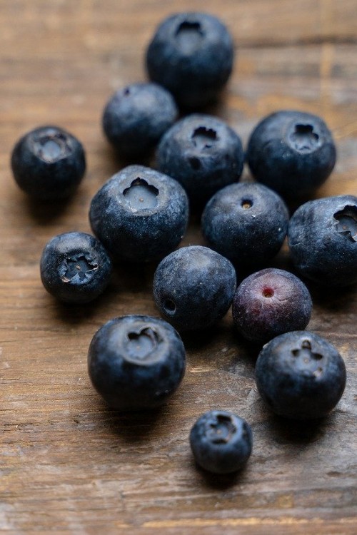 Blaubeeren Blaubeeren