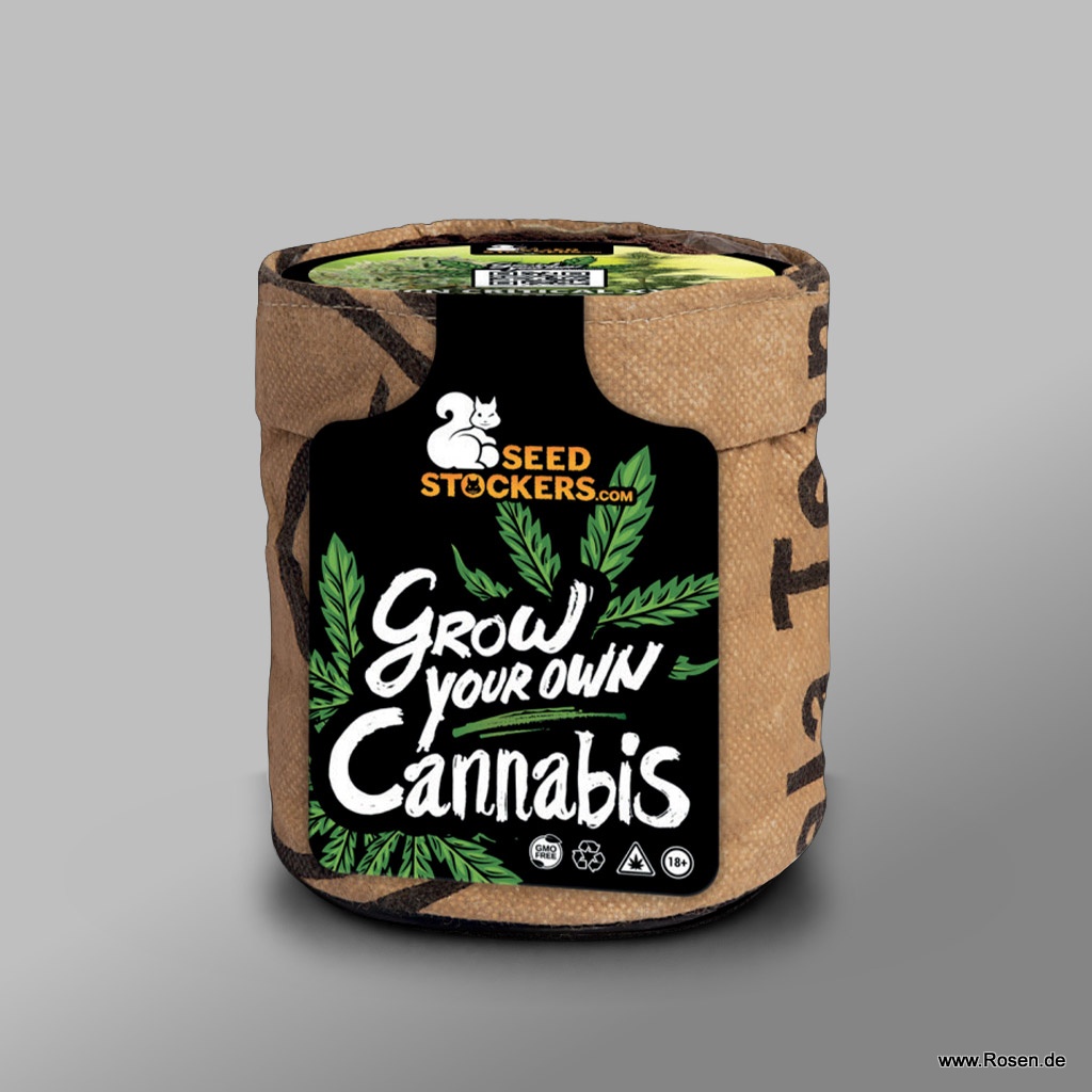 Cannabissamen
