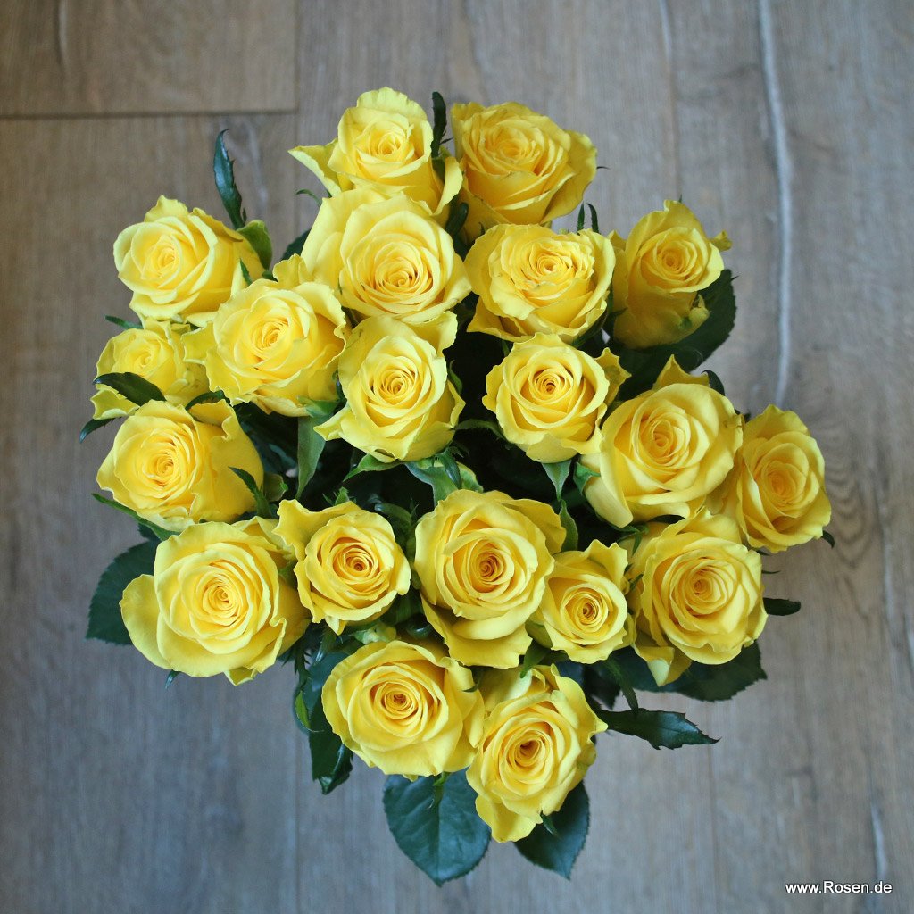 Artikelbild 2 des Artikels Schnittrosen - Gelb Schnittrosen - Gelb
