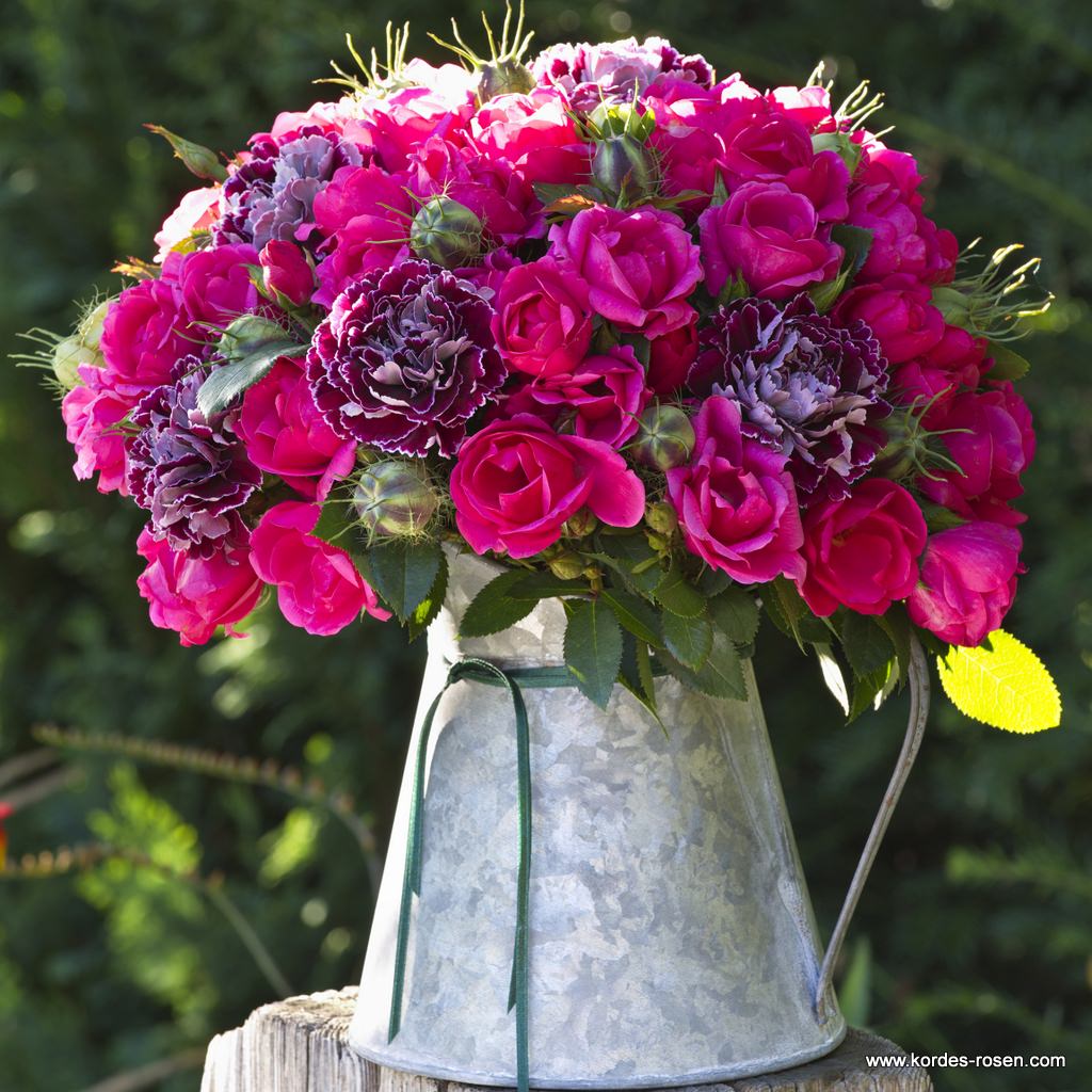 Artikelbild 4 des Artikels Gartenfreund® Gartenfreund®