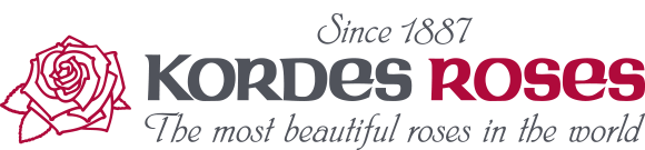 Kordes Collection Kordes roses online shop - the most beautiful roses in the world ...
