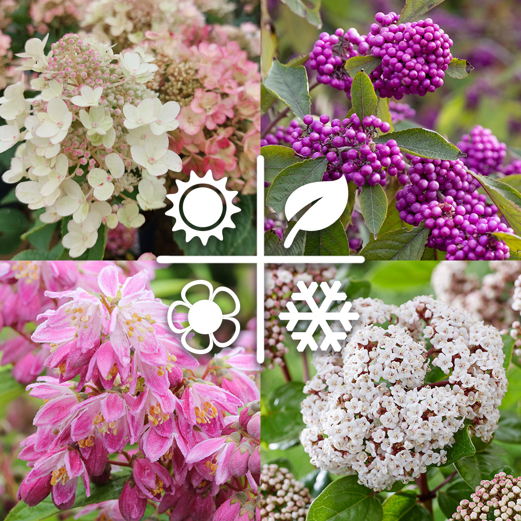 Vorteilspaket "Vier Jahreszeiten"