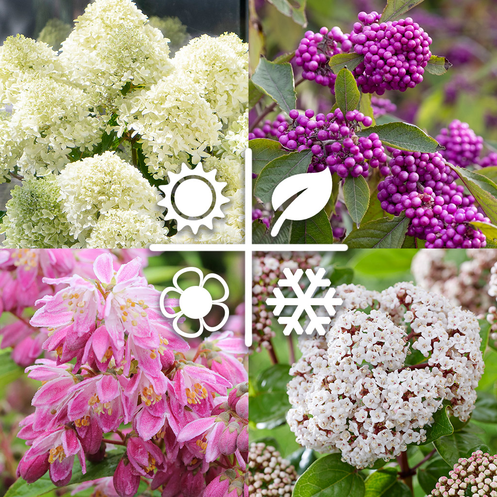 Vorteilspaket "Vier Jahreszeiten"