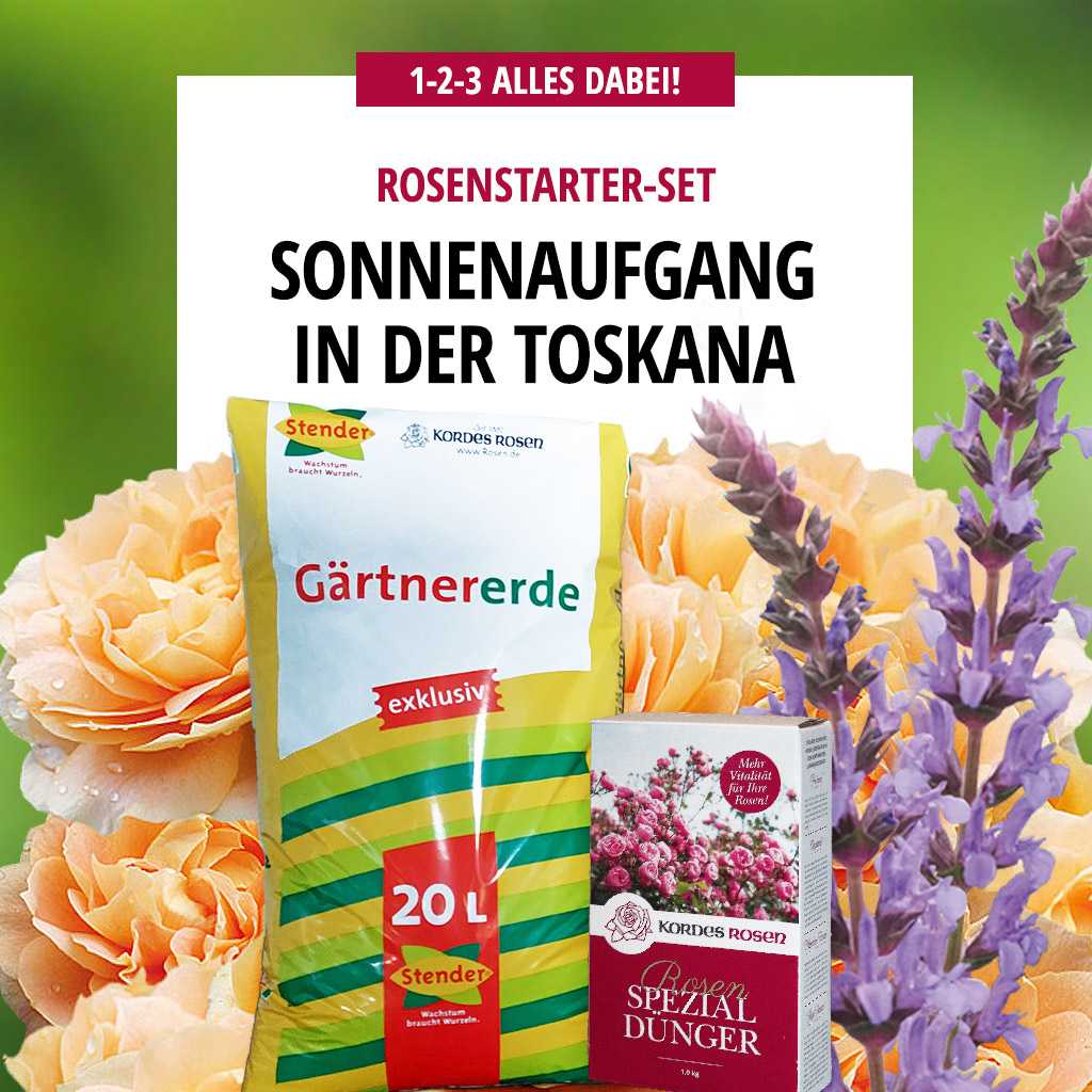 Artikelbild 1 des Artikels Sonnenaufgang in der Toskana Sonnenaufgang in der Toskana
