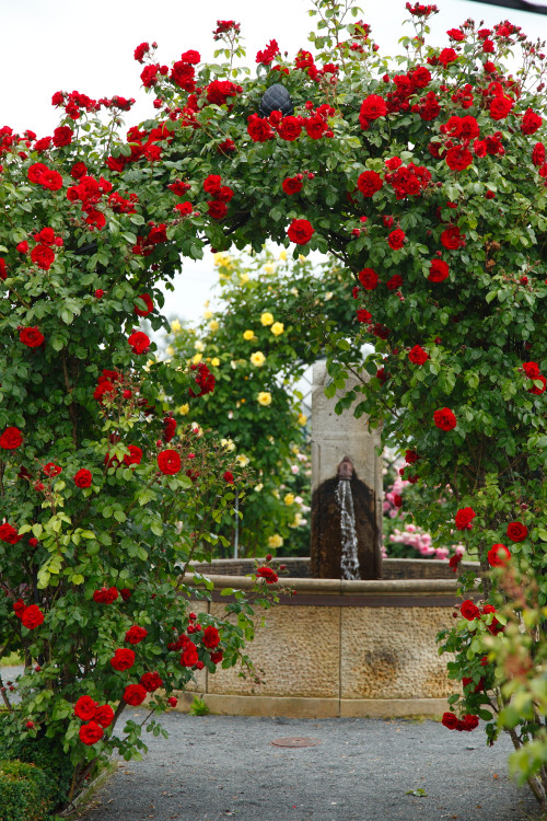 Amadeus® aus der Kollektion Klettermaxe®