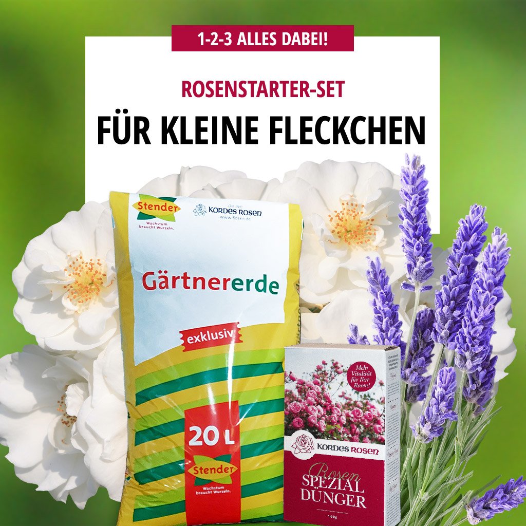 Artikelbild 1 des Artikels Für kleine Fleckchen Für kleine Fleckchen