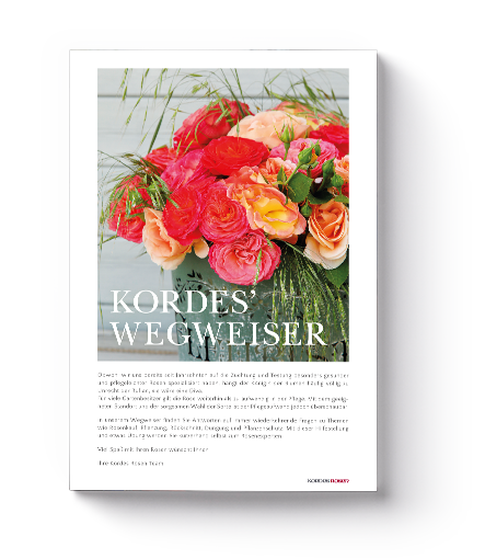 Kordes Wegweiser