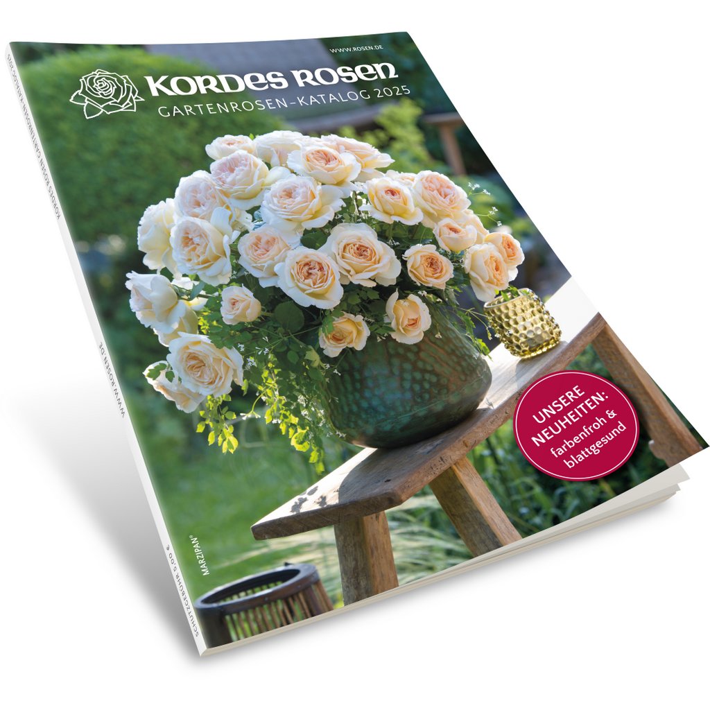 Kordes Gartenrosen-Katalog