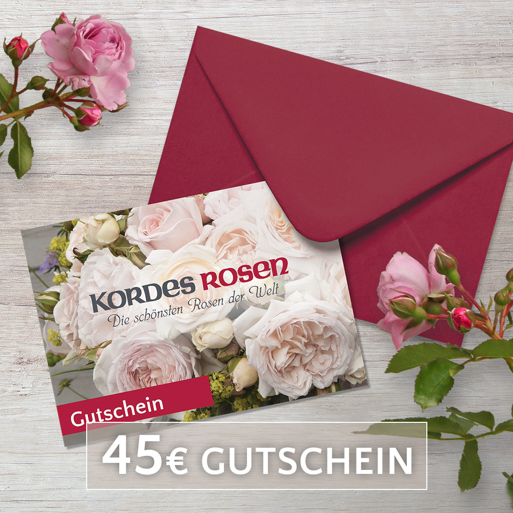 Artikelbild 1 des Artikels Gutschein 45€ Gutschein 45€