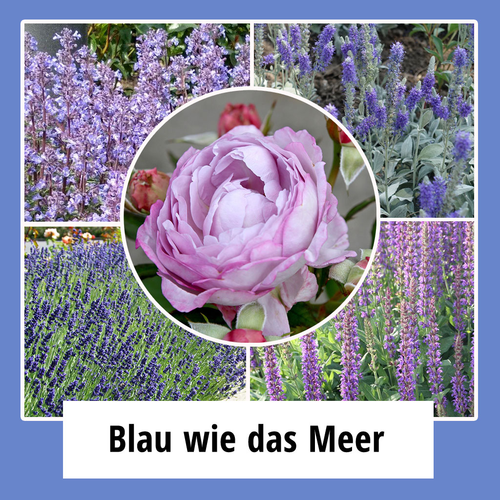 Farbpaket "Blau wie das Meer"