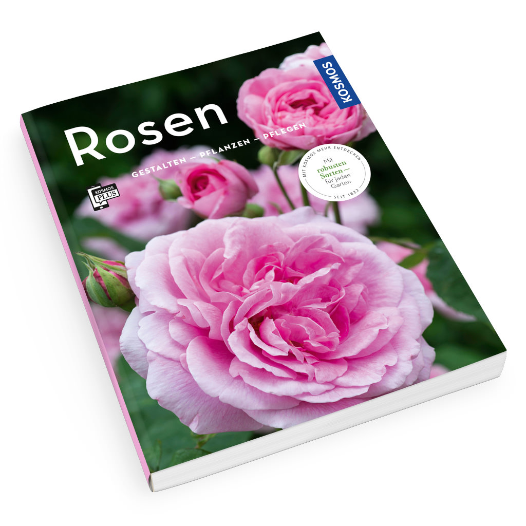Artikelbild 1 des Artikels Rosen – gestalten · pflanzen · pflegen Rosen – gestalten · pflanzen · pflegen