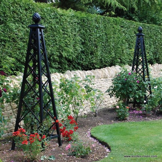 Rosenpyramide Malmaison