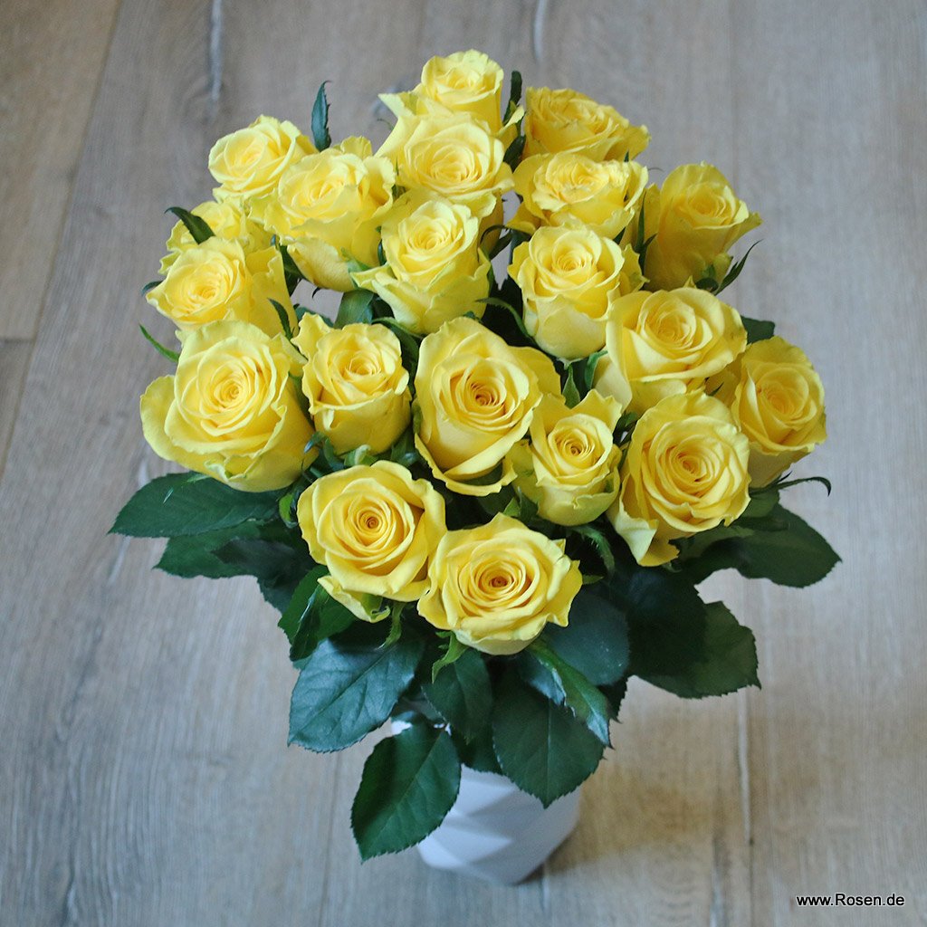 Artikelbild 1 des Artikels Schnittrosen - Gelb Schnittrosen - Gelb