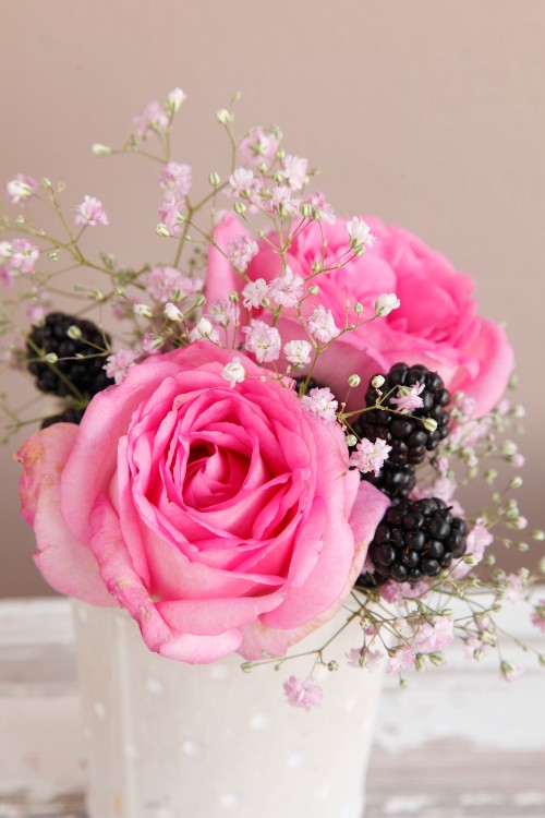 Duftrose Beverly® Duftrose Beverly®
