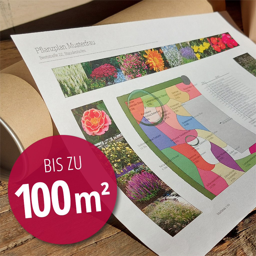 Artikelbild 1 des Artikels Individuelle Beetplanung mit Pflanzplan bis 100m² Individuelle Beetplanung mit Pflanzplan bis 100m²