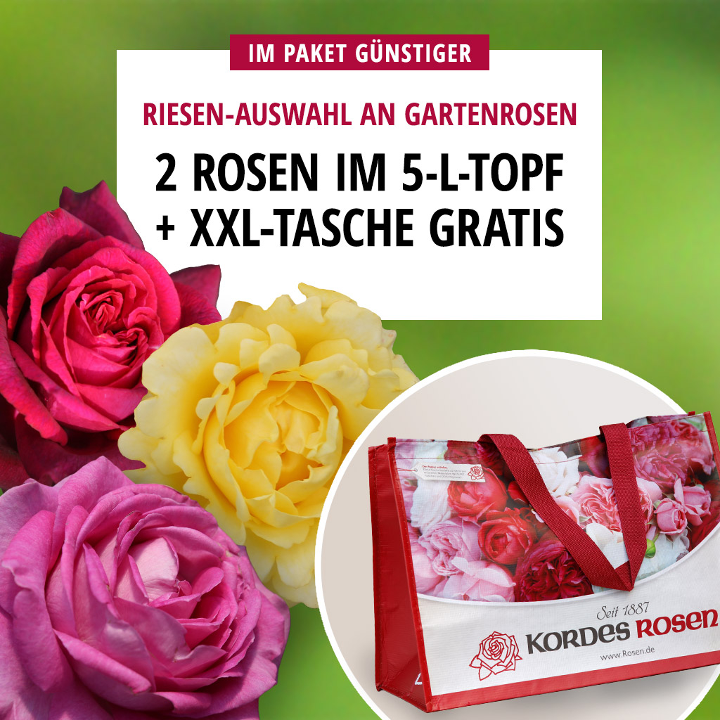 2er Paket im 5L-Topf mit GRATIS-Tasche