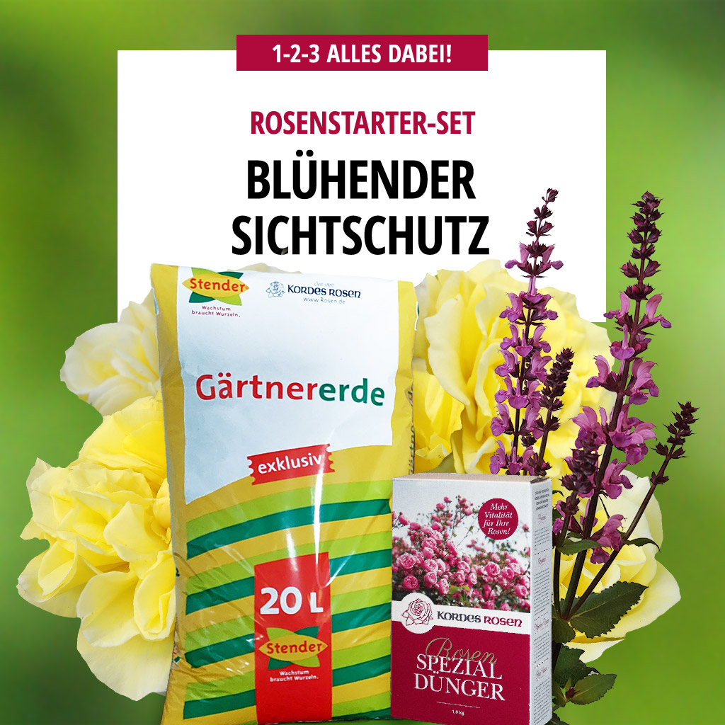 Blühender Sichtschutz