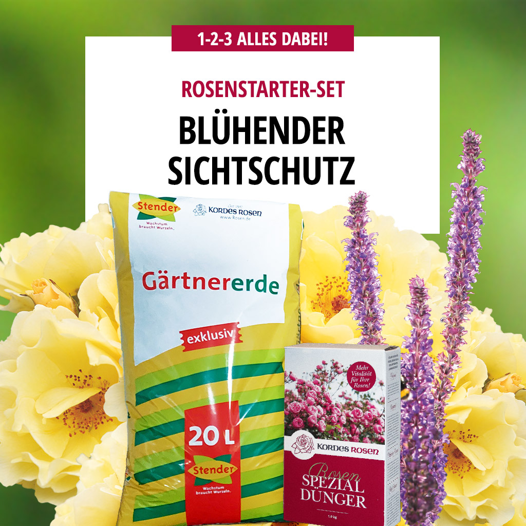 Artikelbild 1 des Artikels Blühender Sichtschutz Blühender Sichtschutz
