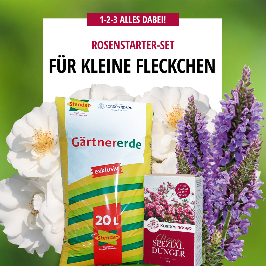 Artikelbild 1 des Artikels Für kleine Fleckchen Für kleine Fleckchen