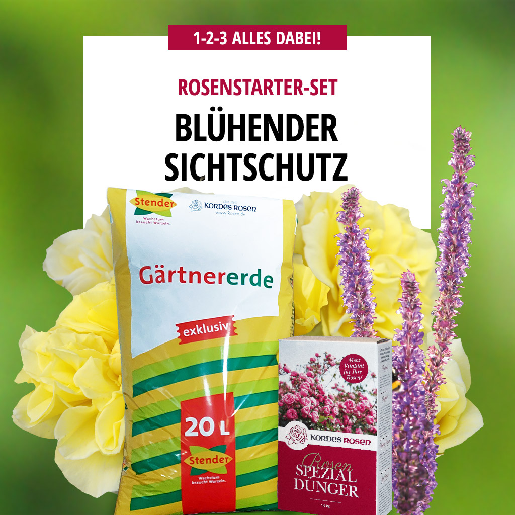 Blühender Sichtschutz