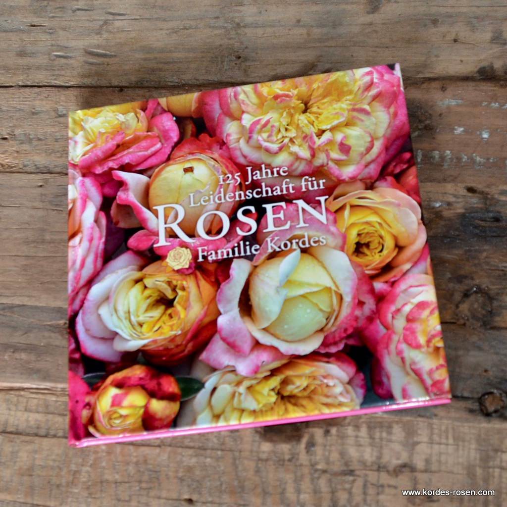 Artikelbild 1 des Artikels 125 Jahre Leidenschaft für Rosen - Familie Kordes 125 Jahre Leidenschaft für Rosen - Familie Kordes
