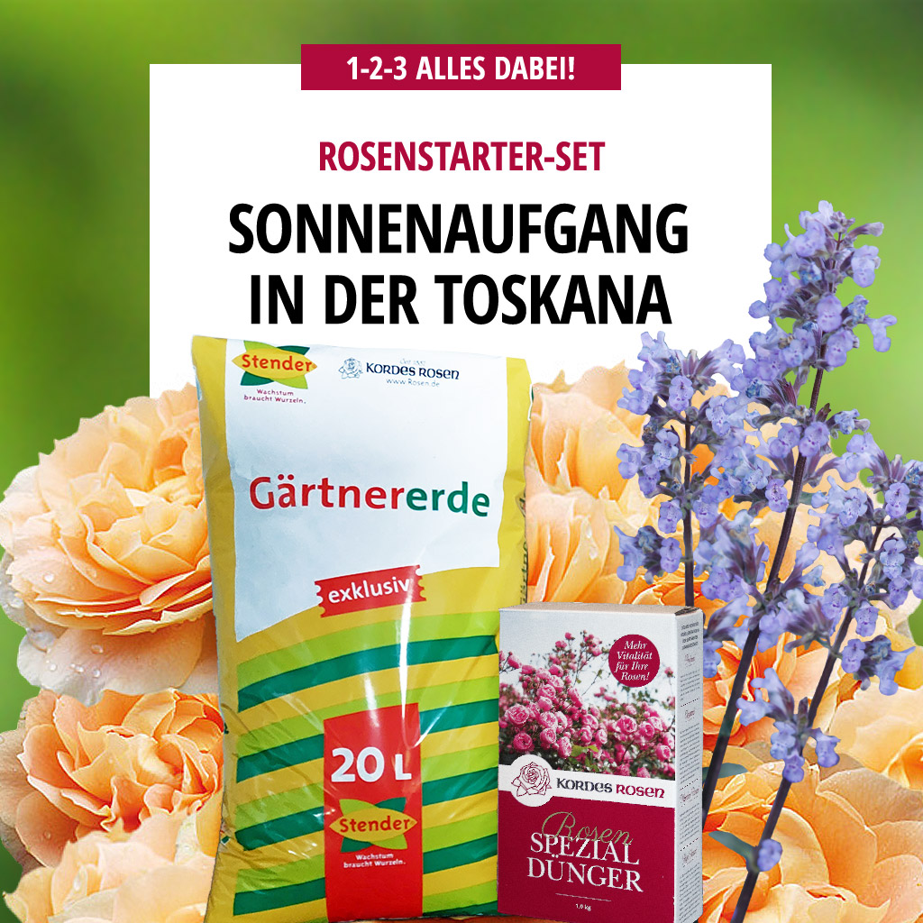 Artikelbild 1 des Artikels Sonnenaufgang in der Toskana Sonnenaufgang in der Toskana