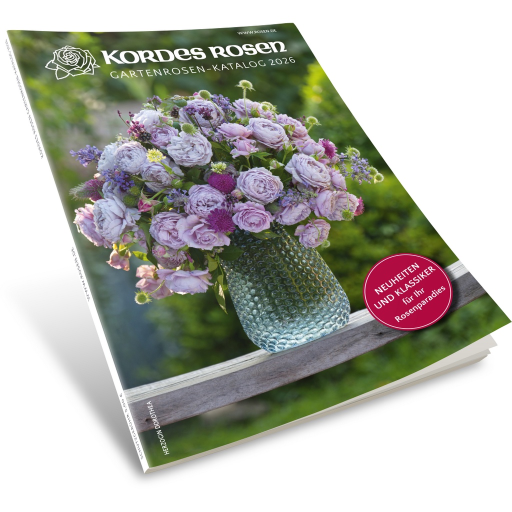 Kordes Gartenrosen-Katalog