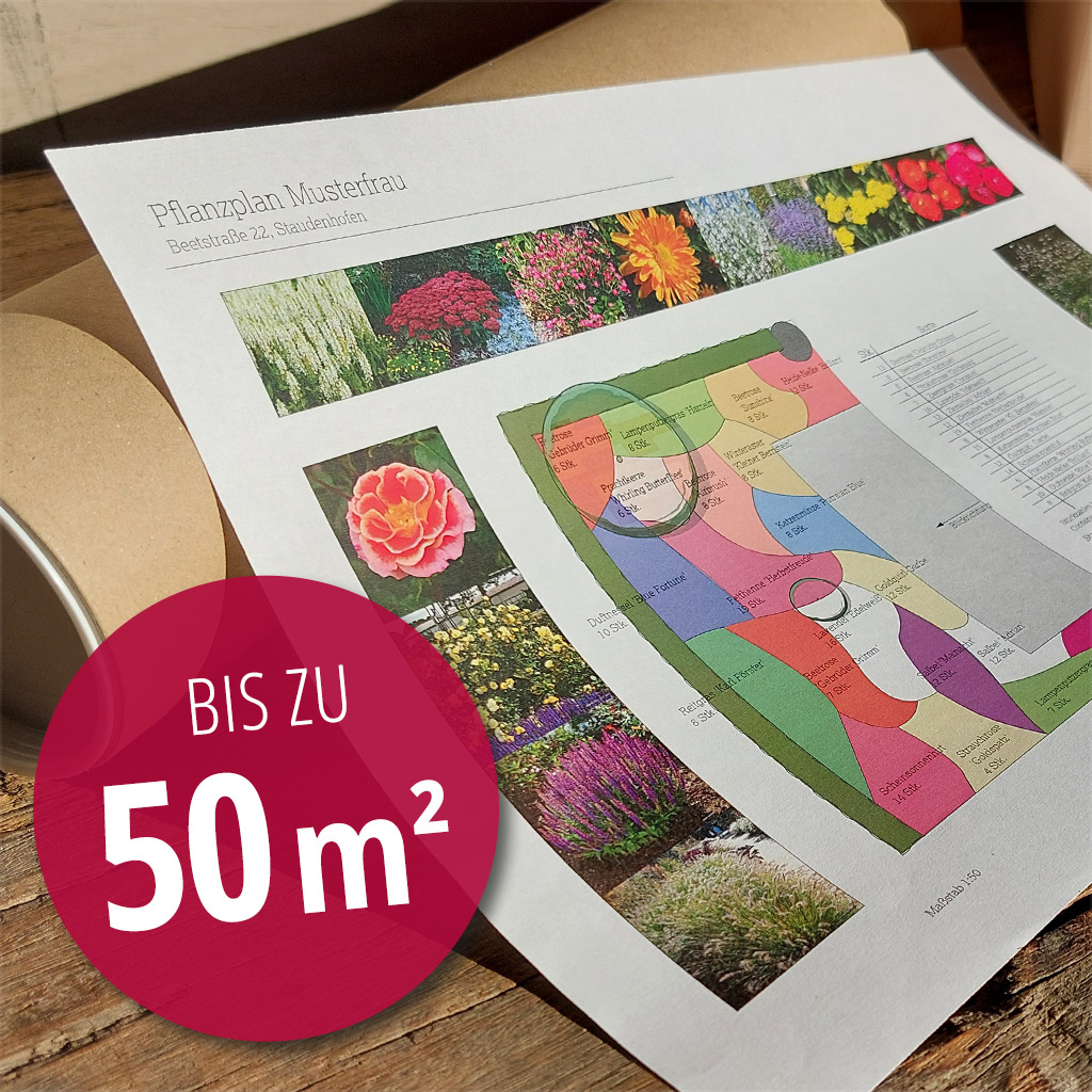 Artikelbild 1 des Artikels Individuelle Beetplanung mit Pflanzplan bis 50m² Individuelle Beetplanung mit Pflanzplan bis 50m²