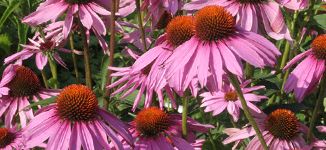 Farbakzente setzen Farbakzente setzen