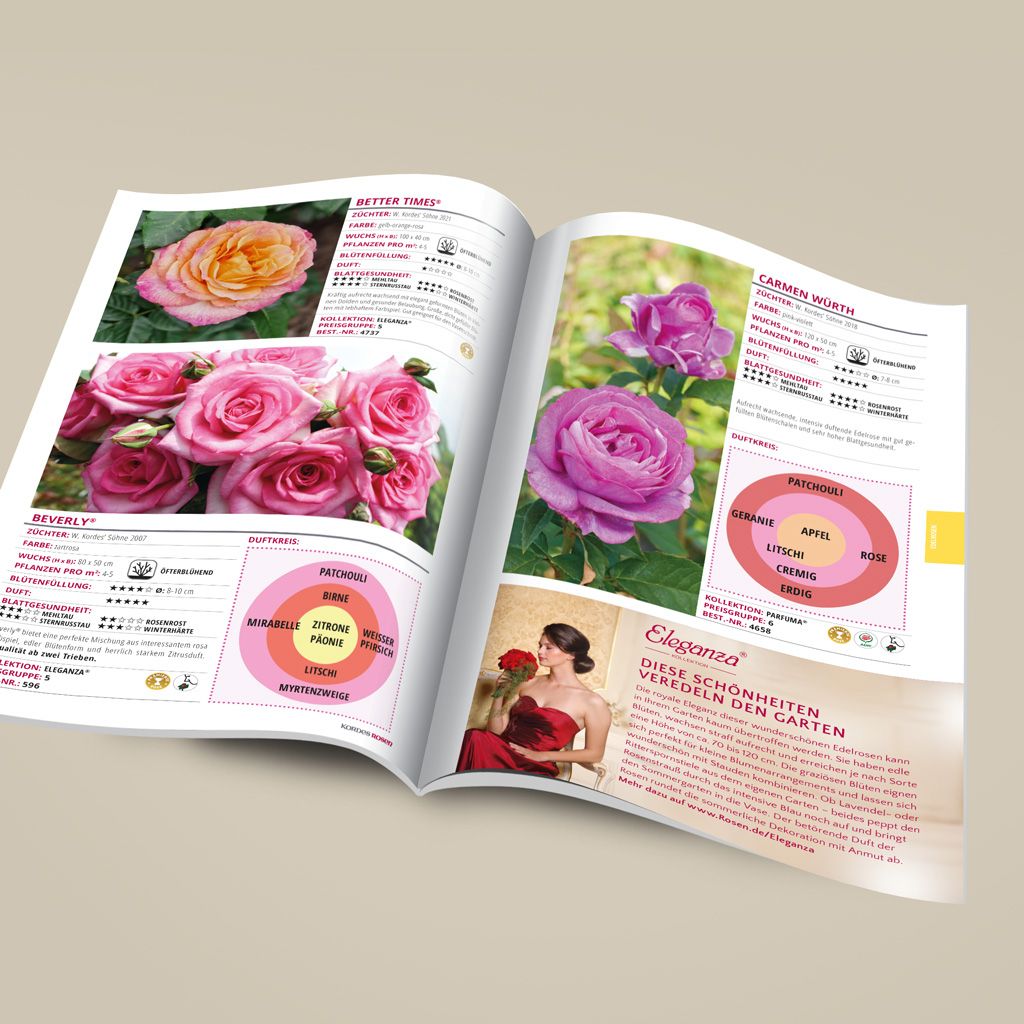 Kordes garden rose catalogue | Kordes Rosen