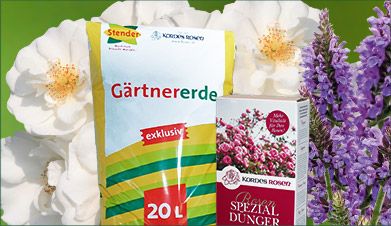 Rosen-Startersets Rosen-Startersets