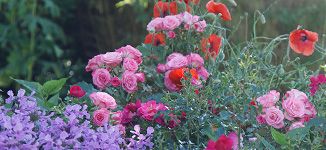 Lebensräume schaffen Lebensräume schaffen